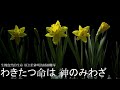 杉山加奈 ありのままに 生機盎然的大地 源自於神明的血液 夢之蠟筆王國ED 中日歌詞 杉山加奈 ありのままに 生機盎然的大地 源自於神明的血液 夢之蠟筆王國ED 中日歌詞