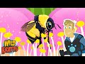 Bumblebee Anatomy and Behavior Quiz