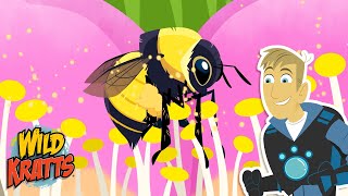 Buzz Pollination | Bumblebee Facts | Season 7 | Wild Kratts