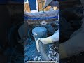 Pool Wall Plastering With Spray Hose $35–60 Per Hour Finish