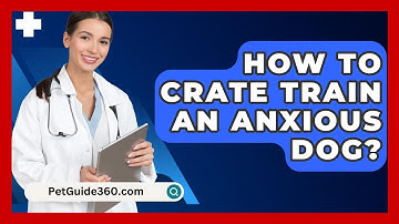 How To Crate Train An Anxious Dog? - PetGuide360.com