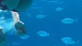 Paola Ferrari Underwater S