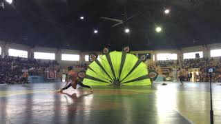 Ust-legaspi synocronize dancing '18 ...