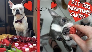 Making Valentines Day Candy for my Dogs CUTE!