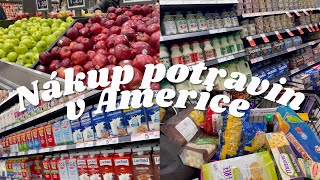 Nákup potravin v Americe | Kolik nás měsíčně stojí jídlo? | Ukázka supermarketu
