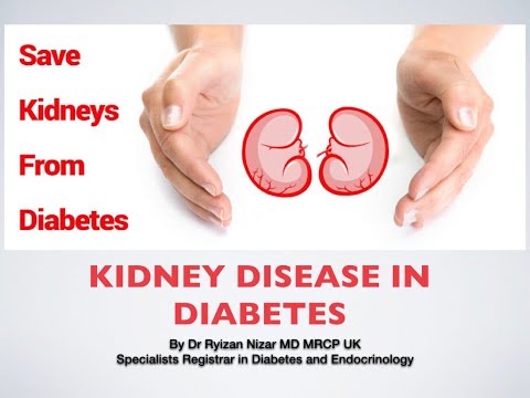 9.DiabetesConnect-Kidney disease in Diabetes (Diabetic Nephropathy) by Dr Ryizan Nizar MD MRCP UK