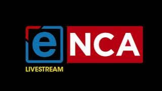 Madlanga Commission | Expert on SAPS legislative framework to testify