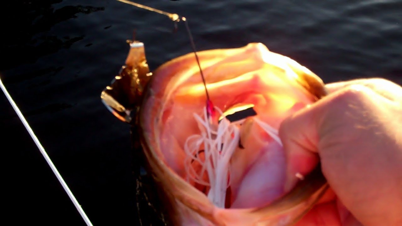 bass fishing at night Buzzbait Bass Fishing.