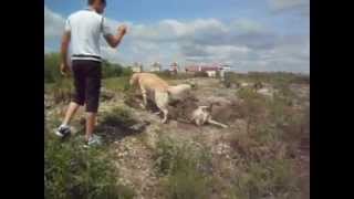 DSCN6804