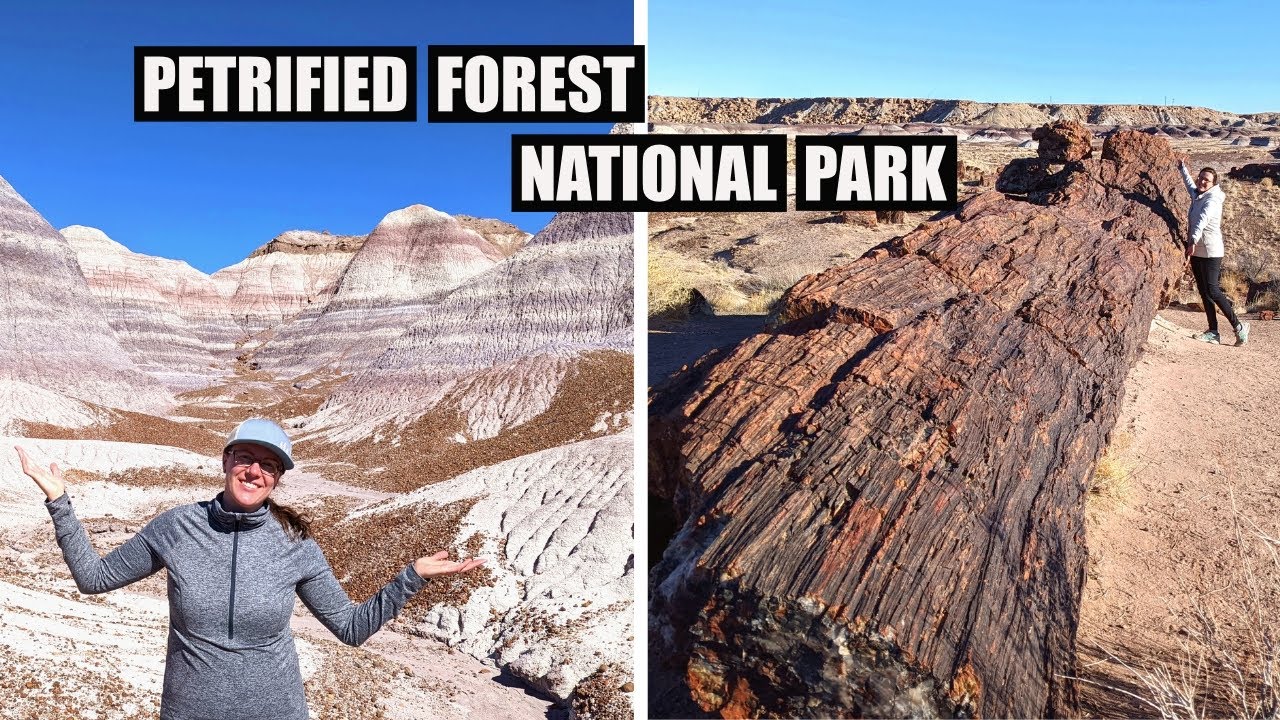 Petrified Forest National Park