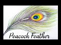 How To Draw Beautiful Peacock Feather|मोरपंख कैसे बनाये|