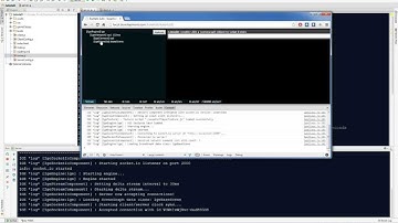 Isogenic Engine Tutorial 3 - Multiplayer Skeleton Game - Part 1