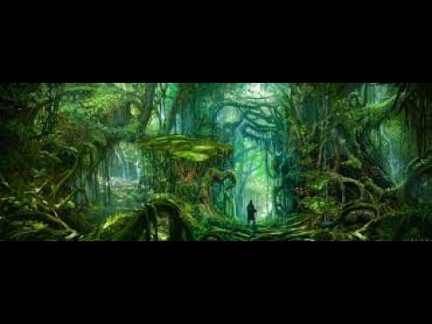 Tomb of Annihilation 2025 Session 5