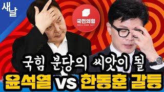 [짤] 국힘 분당의 씨앗이 될 윤석열 vs 한동훈 갈등