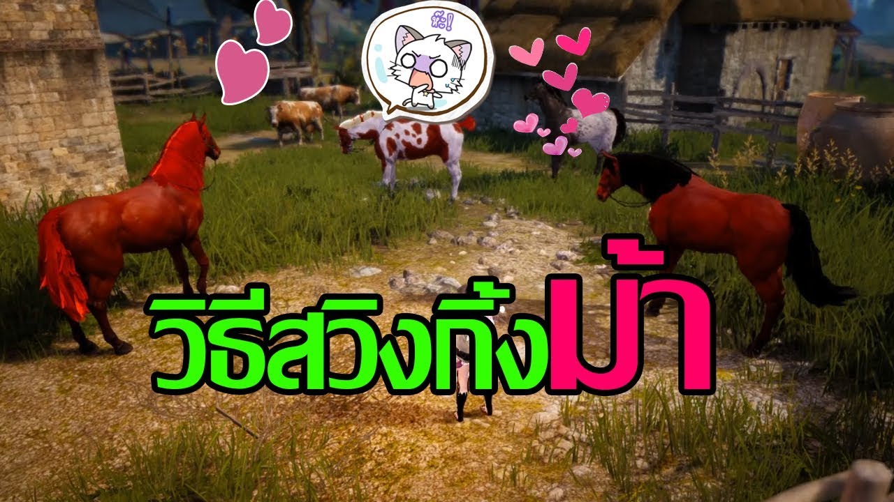 BlackDesert TH - วิธีผสมม้าทีละเยอะๆ