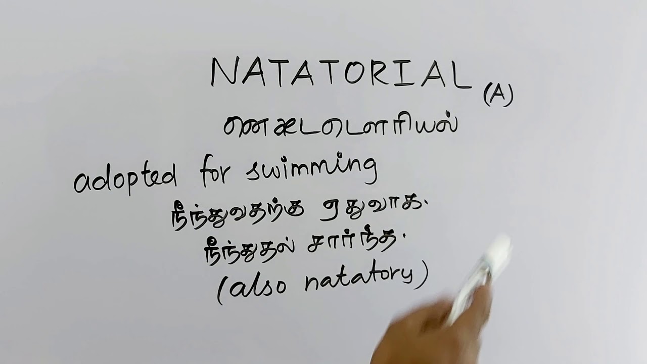 NATATORIAL tamil meaning/sasikumar YouTube