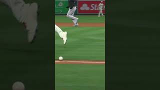 ABSOLUTELY PERFECT BUNT! You won't find a better one than this! 😍