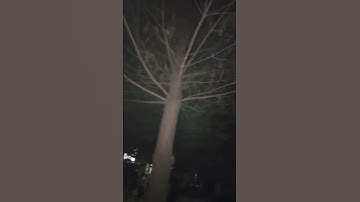 Thumbnail of 창부타령 / 송소희