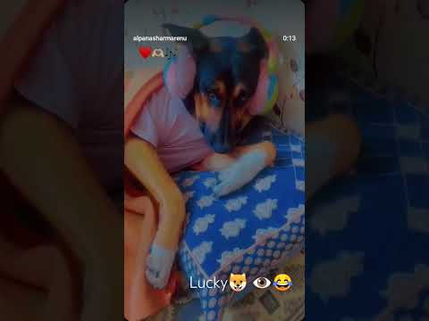 Lucky🐶❤ 👁❤ #dog #doglovers #dogvideos #