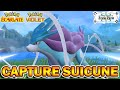 Capturer suicune  pokmon violet  carlate  dlc disque indigo 