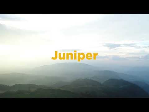 Juniper Album Promo Video