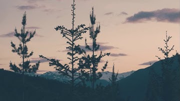 أجمل تلاوة رقق قلبك وطيب مسامعك