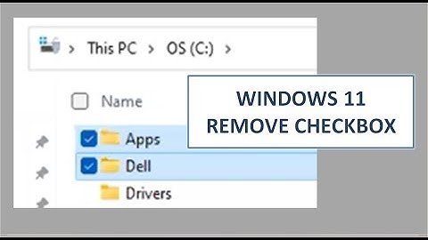 Windows 11 Remove Checkbox in Explorer