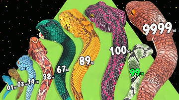 Snake Run Evolution 3D - Level Up Snake Max Level Gameplay (New Update) Snake Run