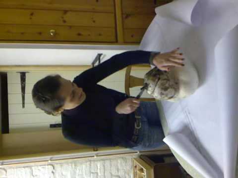 giant puff ball 29112009103.mp4