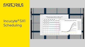 Incucyte® SX1 Tutorial video: How to Setup a Scan