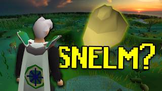 WTF is a Snelm