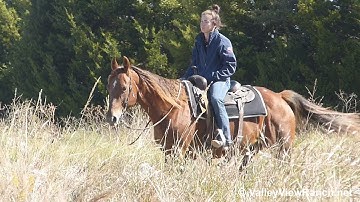 Simonsays Cut - trail! - ValleyViewRanch.net