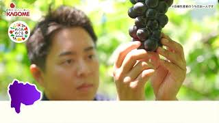 カゴメのCMまとめ。野菜のようなカラフルで親しみやすいCM