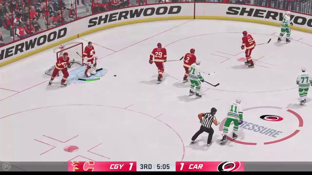 NHL (3-10-2024) Calgary at Carolina