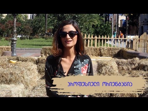 ლელა ფაღავა - პროფესიული ორიენტაცია წარმატებული მომავლისთვის