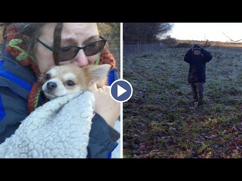 Family Reunited With Missing Dog