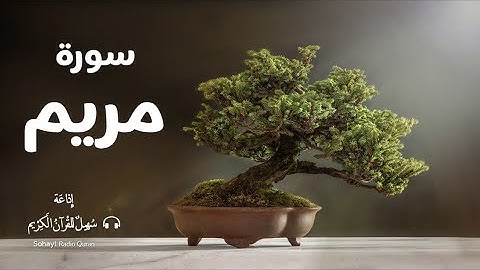 (19 ) تـلاوة مؤثرة سورة " مريم " كاملـة يتلوها القارئ | شريف مصطفى