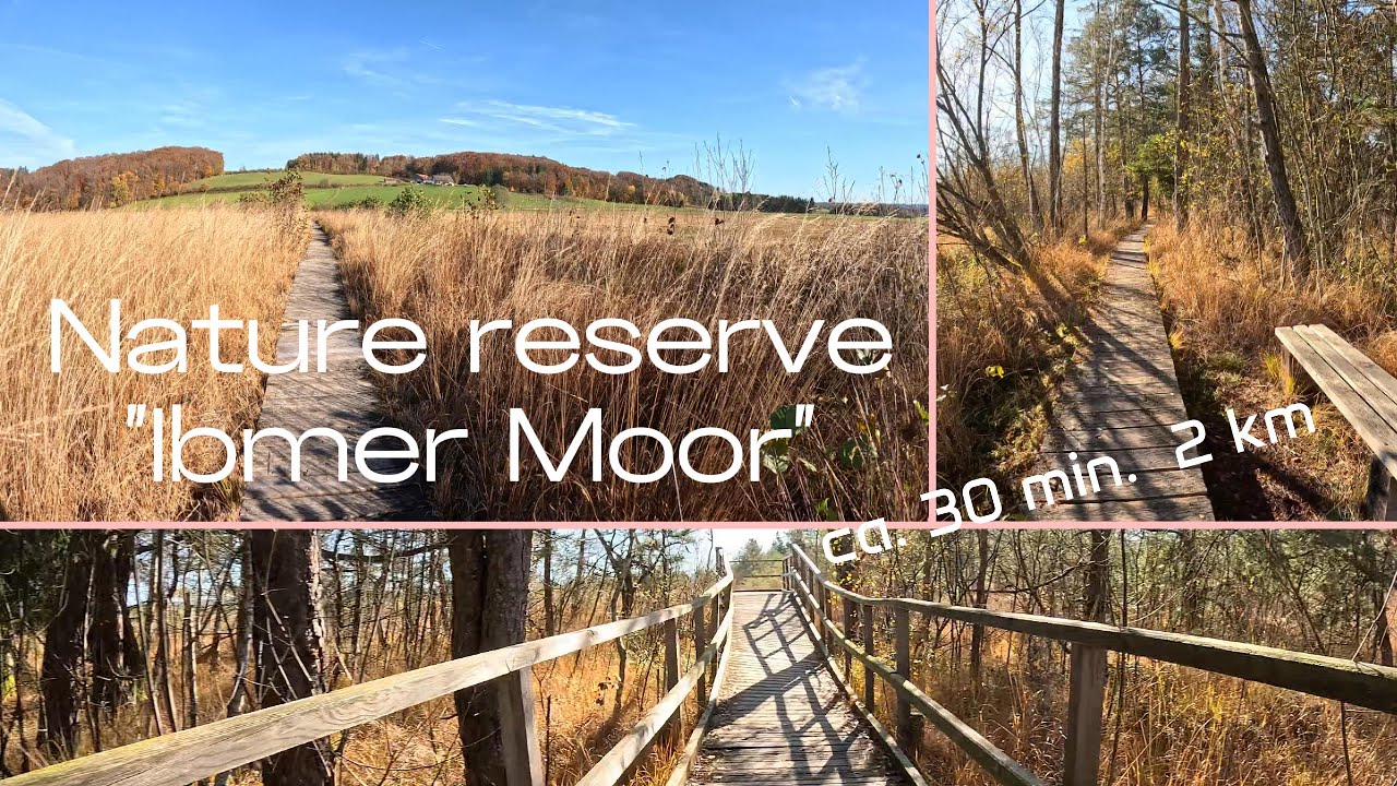 Walk in the mystical "Ibmer Moor"