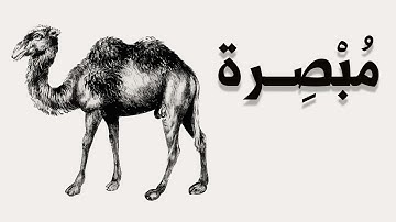 معنى كلمة مبصرة في الآية الكريمة ( 59 من سورة الإسراء )