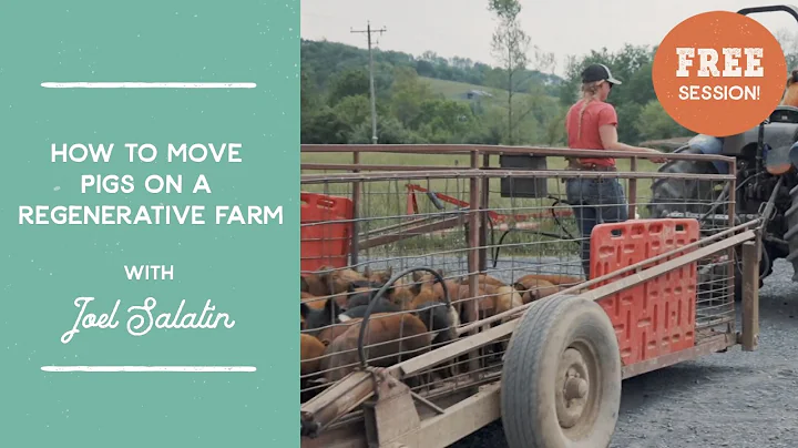 How to Move Pigs on a Regenerative Farm | Joel Salatin