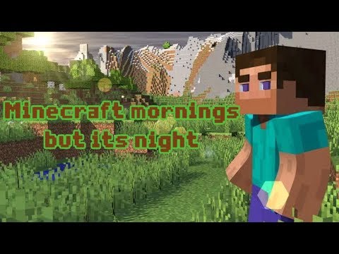 Minecraft mornings but night