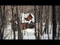 Living Off Grid or On Grid: How we Power our Remote Cottage In The Middle Of The Woods