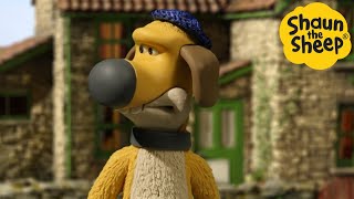 Shaun the Sheep 🐑 Bitzer the Captin! - Cartoons for Kids 🐑 Full Episodes Compilation [1 hour] by Shaun the Sheep Official 1,950,560 views 2 months ago 1 hour