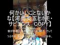 何かいいことないかな【河島英五とホモ▪サピエンスコピー】