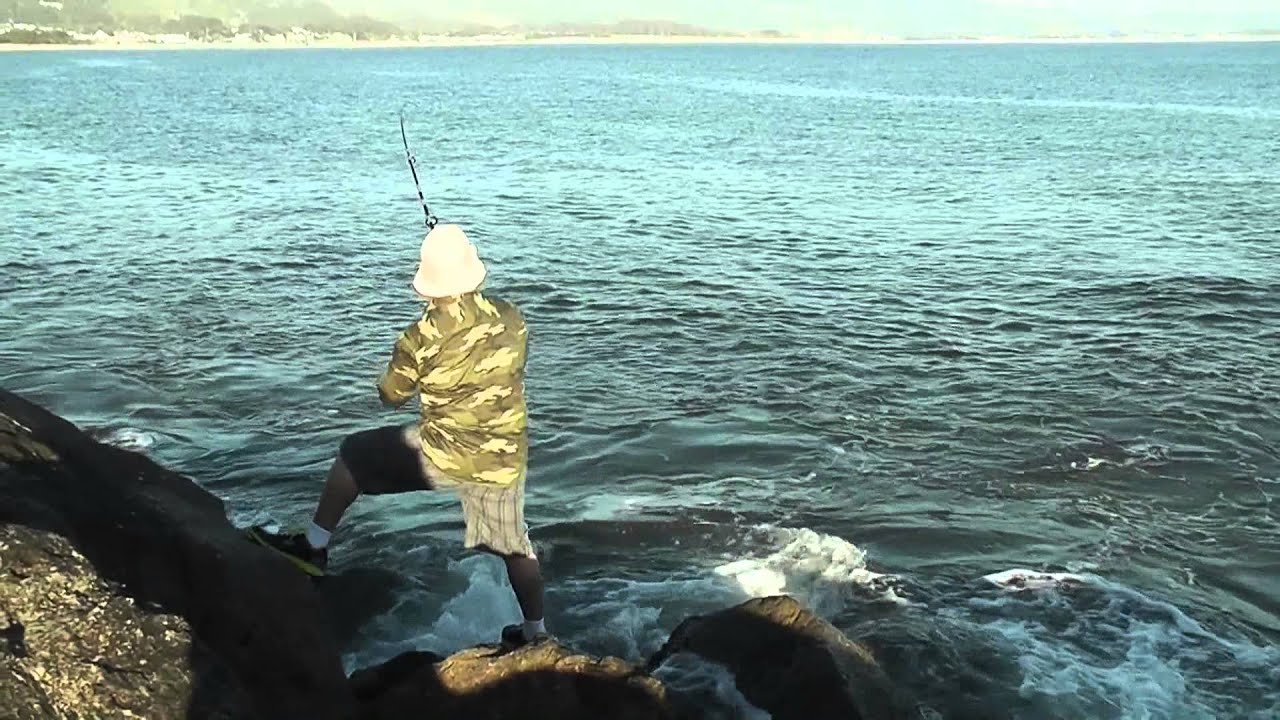 Caught A Shark At Half Moon Bay Jetty YouTube