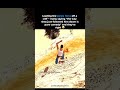 Leading the police force off a cliff is pure comedy 😂 #gta5 #gaming