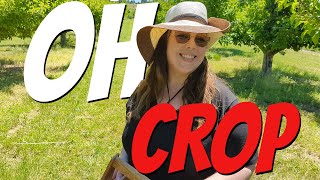 One Day in Greenbluff, WA U-Pick Farms | Shop at the Farmer's Market