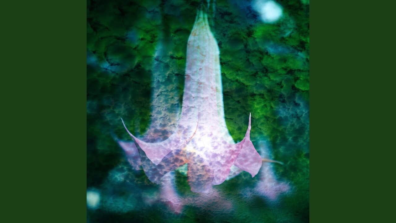 Watch Florasphere on YouTube Watch Florasphere on YouTube