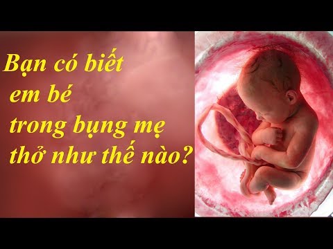 Video: Cách Em Bé Thở Trong Bụng Mẹ