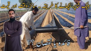 Mulching sheet lying on raised beds manually & its benefits, Tunnel farming series (Part 3), IR FARM